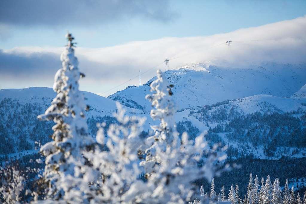 Copperhill Mountain Lodge Åre Buitenkant foto